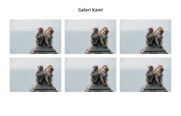Gallery #1