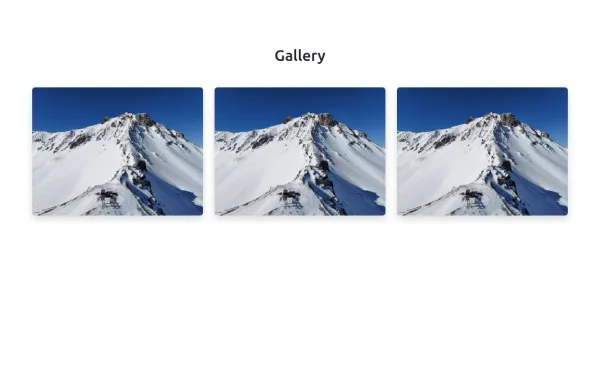 Gllery with Hover Effect