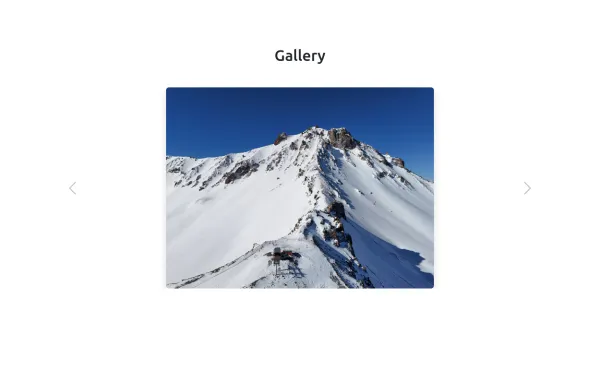 Gallery caraousel